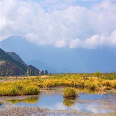 《三江源国家公园生态监测指标》地方标准通过审查